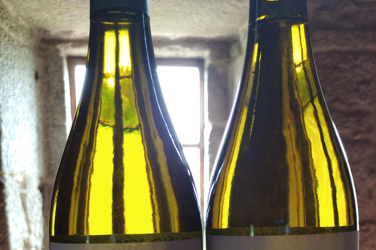 Galicia: Bodega Corisca Winery Tour and Wine Tasting