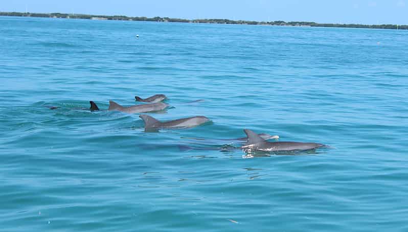 2 Hour Private Eco-Tour