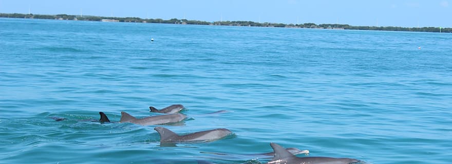 Excursion écologique privée de 2 heures