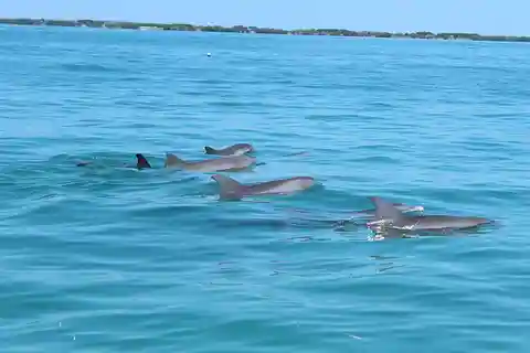 2 Hour Private Eco-Tour