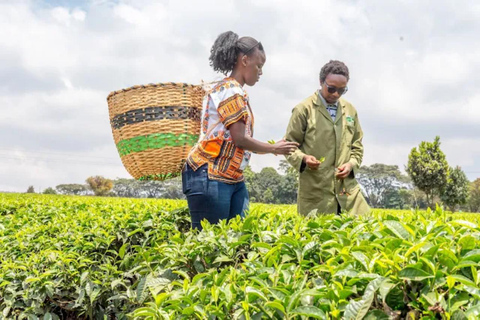 Nairobi: Gathoni Sensory Garden & Tea Farm Tour With Tasting