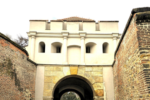 Prag: Audioguide Vyšehrad mit optionalem Ticket für die BasilikaVyšehrad Audioguide (du erhältst ihn per E-Mail) - KEIN Ticket