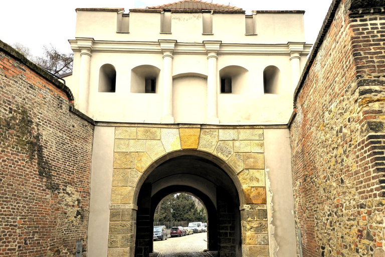 Prag: Audioguide Vyšehrad mit optionalem Ticket für die BasilikaVyšehrad Audioguide (du erhältst ihn per E-Mail) - KEIN Ticket