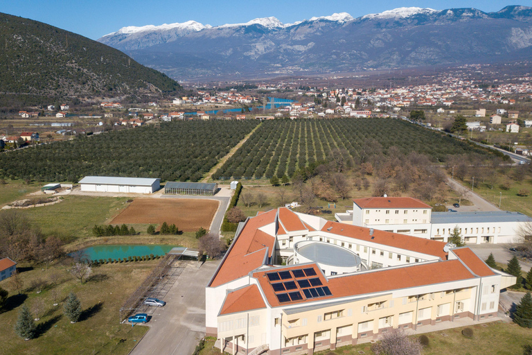 Mostar: Olive Oil Tasting with Local Bites & Heritage Tour