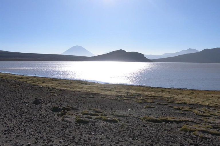 Arequipa: Salinas Lagoon Tour