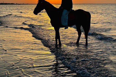 Muscat: Sunset Horse Riding on the Beach + Private Transfer
