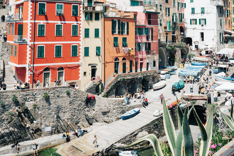 Z Florencji: prywatna wycieczka do Pizy i Cinque TerrePrywatna wycieczka po Cinque Terre i Pizie