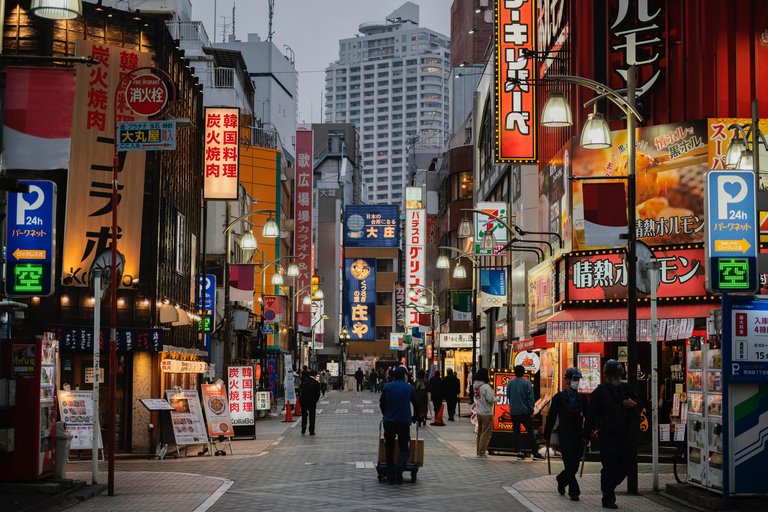 Tour privato della città di Tokyo con autista che parla inglese