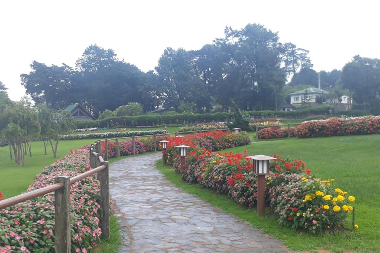 From Kandy: Nuwara Eliya Day Tours (Ambewela Railway Drop)