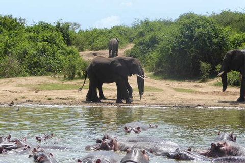 Oeganda: 4-daagse ervaring in het Queen Elizabeth National Park