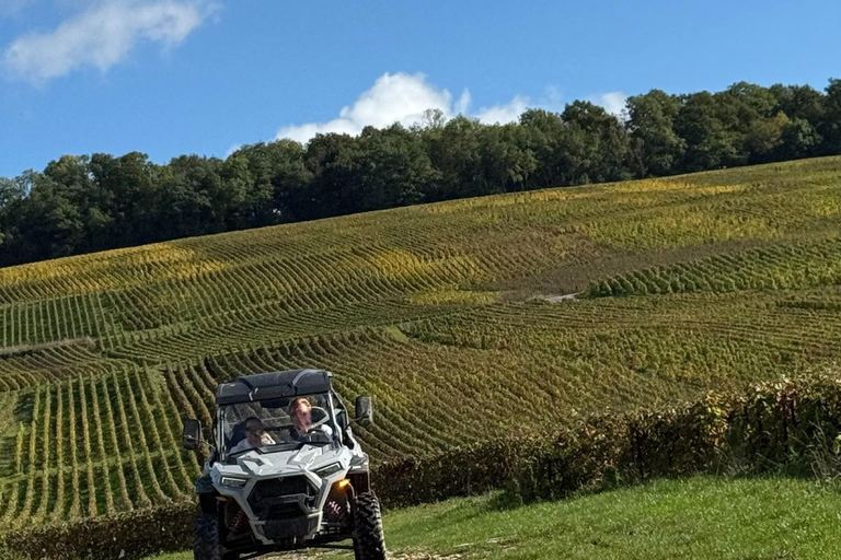 Champagne vineyards: 2-hour guided tour of the vineyards in a Buggy
