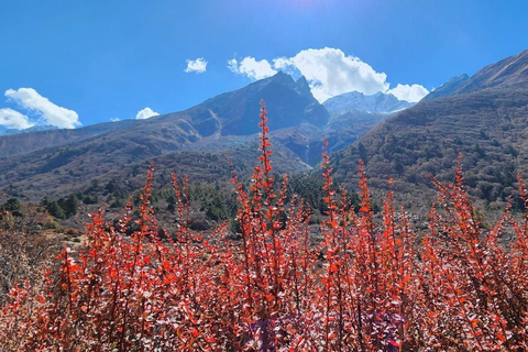 Aventura de 6 días en Langtang : Salida en Grupo Fijo Senderismo Económico