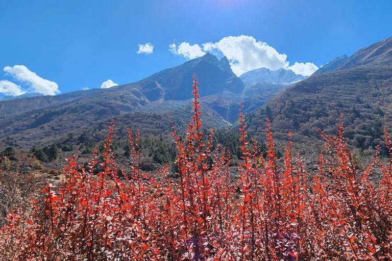 Aventura de 6 días en Langtang : Salida en Grupo Fijo Senderismo Económico