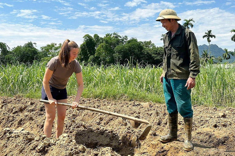 Hanoi: Mai Chau, Pu Luong, and Ninh Binh 3-Day Tour