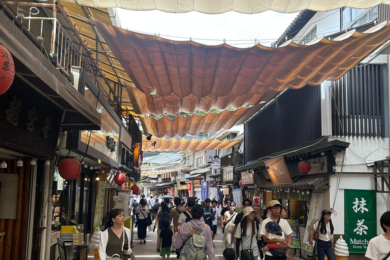 Hiroshima & Miyajima 6.5h Guided Tour – Dome, Park & Shrine