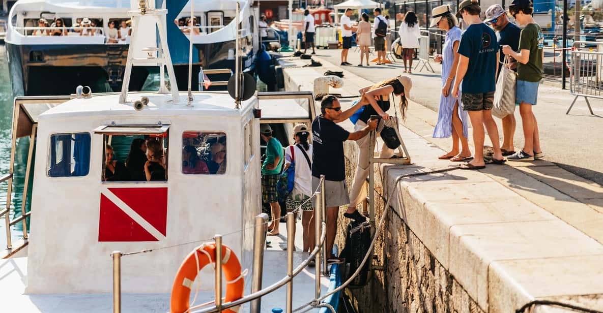 Afbeelding 5 van Vanuit Nice: zwem- en snorkelcruise aan de Franse Rivièra