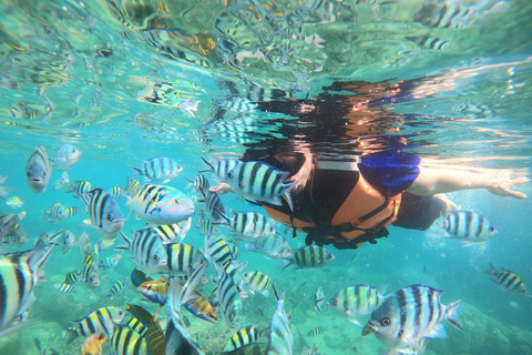Yogyakarta: Timang Beach & Sadranan Snorkeling Day Trip