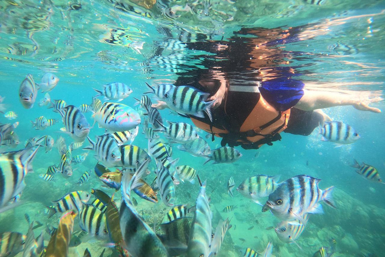 Yogyakarta: Timang Beach & Sadranan Snorkeling Day Trip
