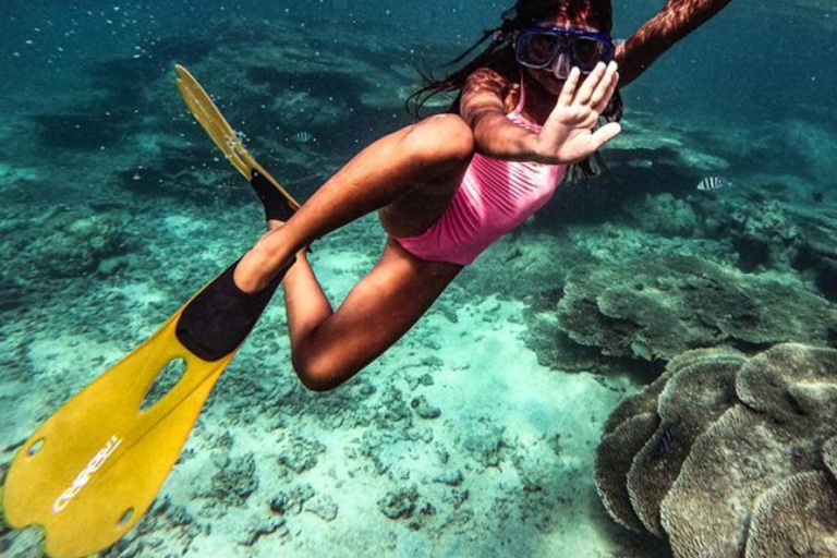 Hors-bord privé vers l&#039;île Gabriel, Coin de Mire et l&#039;île PlateHors-bord privé vers l&#039;île Gabriel, Coin de Mire et Flat Island