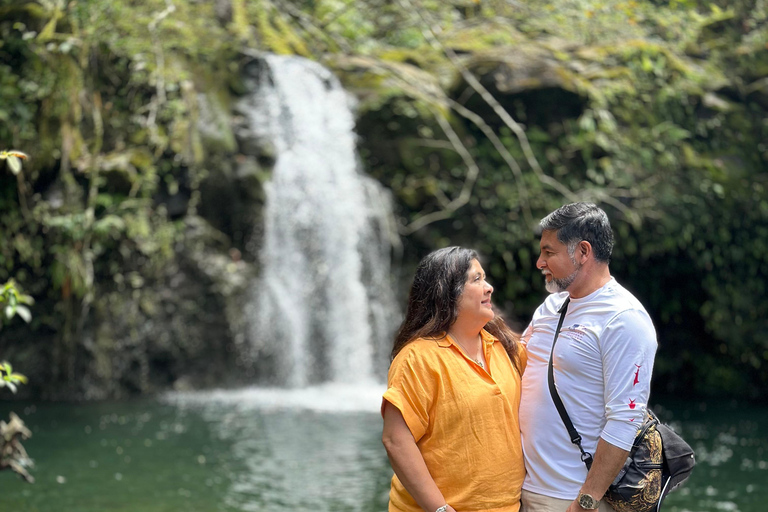 Maui: Full-Day Hana Tour with Snacks and Drinks