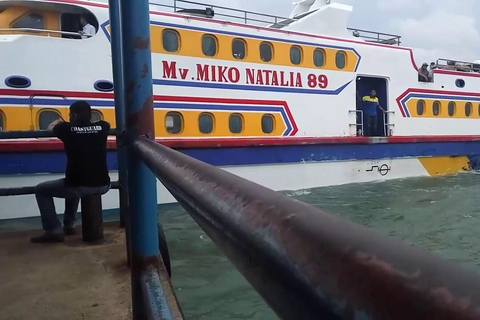 Gili Trawangan: Fast Boat Transfer to Serangan, Bali