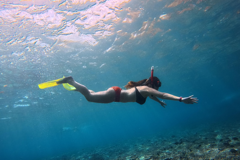 Nusa Penida: Manta Point & Turtle Point Snorkeling Sharing Manta Point Trip with Gamat Bay & Turtle Point