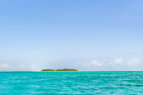 Snorkelling in Mnemba with Lunch