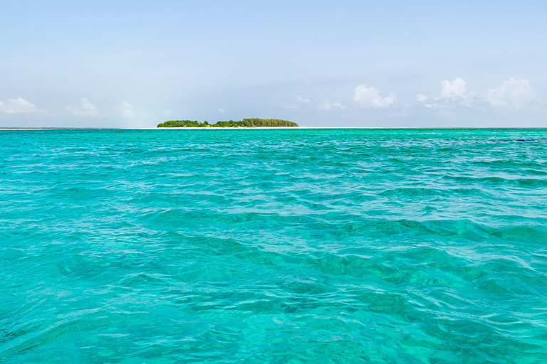 Snorkelling in Mnemba with Lunch