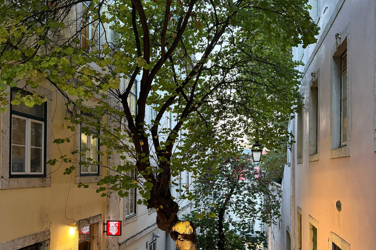 Lisbon: Vegan Food and Culture Walking Tour with Tastings