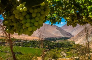 La Serena: Tour durch das Elqui-Tal, Pisco, Weine und Gabriela Mistral