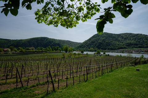 Viena: Valle del Danubio 3 Castillos y Degustación de Vinos