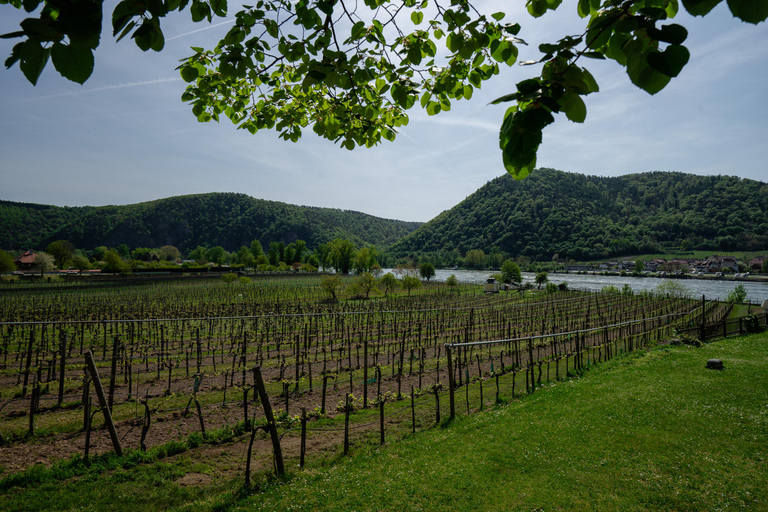 Wien: Donau-dalen Donau-dalen 3 slott och vinprovning