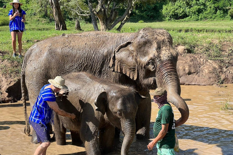 Chiang Mai : Nouvelle maison des éléphants Programme de soins aux éléphantsAvec transfert depuis la ville de Chiang Mai