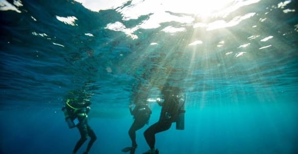 Sydney: Discover Scuba Dive at Australia&#39;s most Iconic Beach