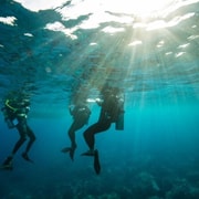 Sydney: Discover Scuba Dive at Australia's most Iconic Beach