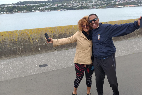 Wellington: Tour guiado na cidade com passeio de teleférico