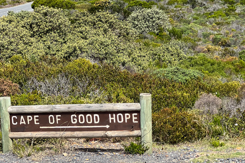 Cape of Good Hope and Penguins Full-Day Private Tour Private tour: Cape of Good Hope and Penguins Full-Day Tour