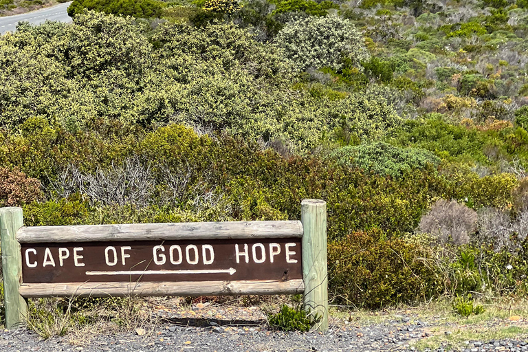 Cape of Good Hope and Penguins Full-Day Private Tour Private tour: Cape of Good Hope and Penguins Full-Day Tour