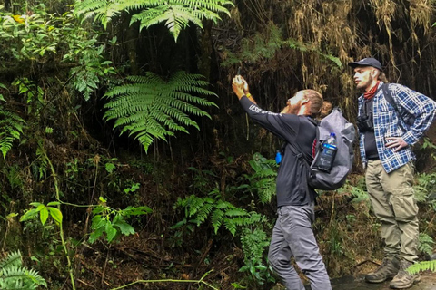 Explore biodiversity in the Chicaque forest Nature Reserve