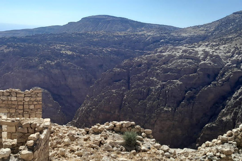 Amman: Madaba, Mount Nebo, and Dead Sea Day Trip Madaba, Nebo, and the Dead Sea Tickets and lunch included