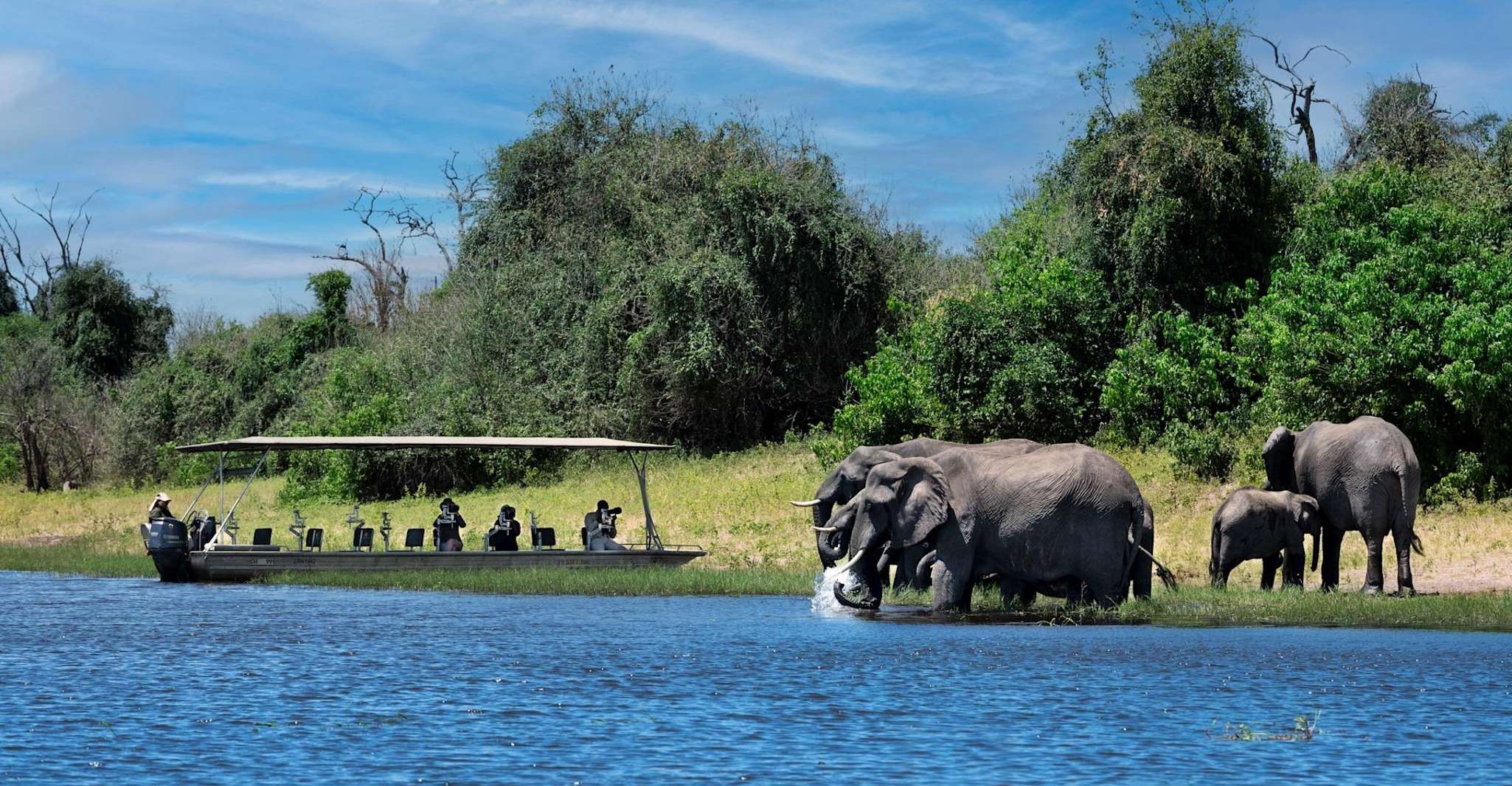 Livingstone, Chobe National Park Safari with Lunch - Housity