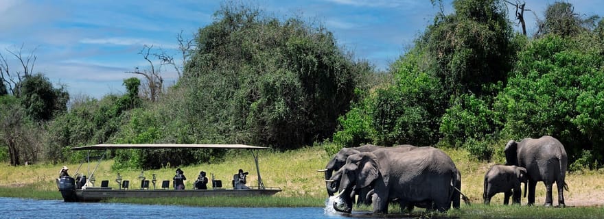 Excursion d'une journée à Chobe au départ de Livingstone Town Zambie