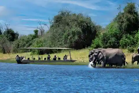 Full Day Chobe Trip From Livingstone Town Zambia