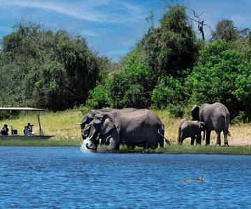 Full Day Chobe Trip From Livingstone Town Zambia