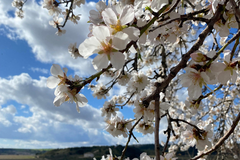 From Madrid: Cooking Class by a Castle in the Olive Groves