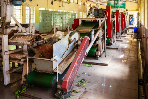 Negombo to Kandy: Pinnawala/ Tea Factory (private Tour)