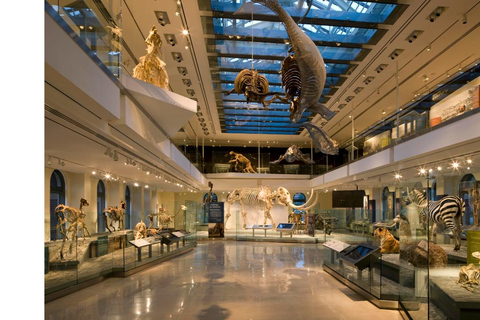 Natural History Museum LA: Entry + Fierce! The Story of Cats Fierce! The Story of Cats Special Exhibition - Weekends