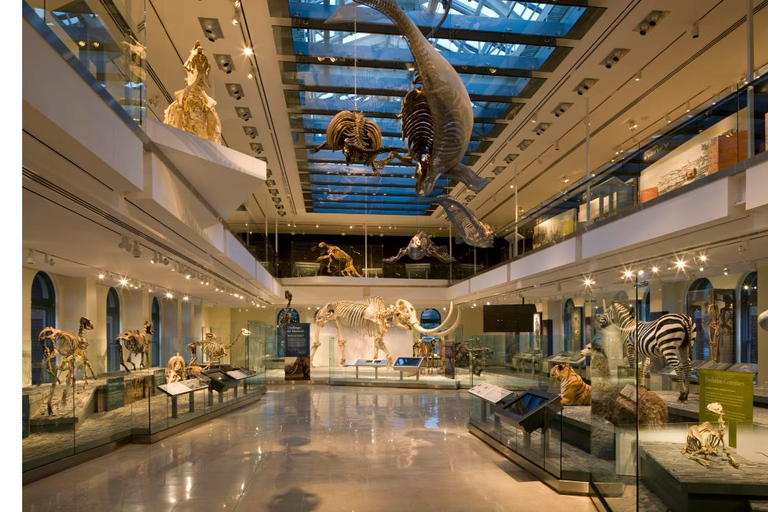 Natural History Museum LA: Entry + Fierce! The Story of Cats Fierce! The Story of Cats Special Exhibition - Weekends