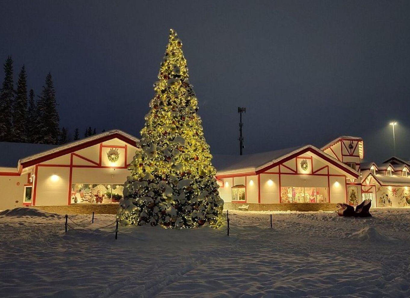 Fairbanks kulturarvstur