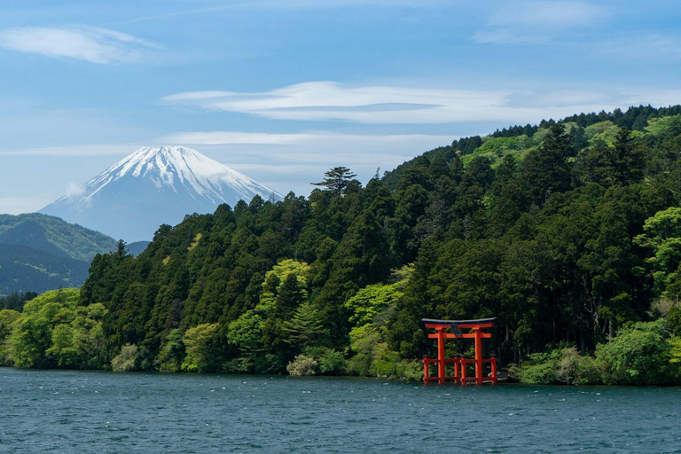 1-Day Mt Fuji Sightseeing trip from Tokyo 1-Day Mt Fuji Sightseeing trip with English Speaking Guide